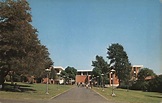 Mt. San Antonio College Walnut, CA Postcard