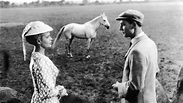 Meines Vaters Pferde, 2. Teil: Seine dritte Frau (1954) | MUBI