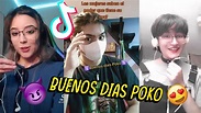 Buenos días Poko tiktok meme compilation - YouTube