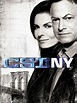 CSI: New York: Season 9 Pictures - Rotten Tomatoes