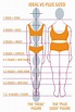 Learn how your body proportions can affect sewing patterns when making ...