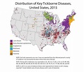 26 Rocky Mountain Spotted Fever Map - Online Map Around The World