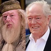 Our Favorite Stars from the Harry Potter Films and Where They Are Today