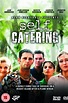 Reparto de Self Catering (película 1994). Dirigida por Robin Lefevre ...