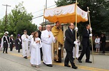 Eucharistic Procession - Highest Form of Catholic Devotion - Immaculate ...
