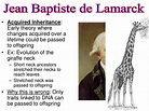 PPT - Lamarck PowerPoint Presentation, free download - ID:2627802