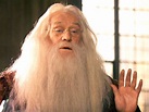 Richard Harris - THE ONLY DUMBLEDORE | The sorcerer's stone, Harry ...
