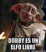 Meme Personalizado - Dobby es un elfo libre - 31047540
