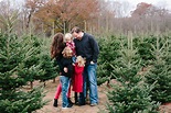 Christmas Tree Farm Family Pictures - Mae Photo