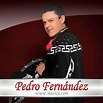 Sólo tú - Letra - Pedro Fernández - Musica.com