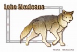 lobo mexicano postal by chaos-dark-lord on DeviantArt