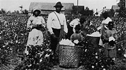 Slavery in the US: Here are seven things you probably didn't know - CNN