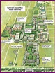 Tulane University - Great Runs