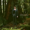 ‎Daylight - Single by David Kushner on Apple Music