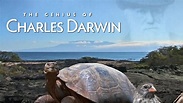 The Genius of Charles Darwin | TV fanart | fanart.tv