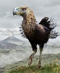Phorusrhacids, known as terror birds, are a group of extinct ...