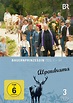 Bauernprinzessin (film, 2004) | Kritikák, videók, szereplők | MAFAB.hu