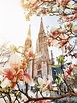 Vienna Top 10 Things to do in Springtime - The Vienna BLOG - Lifestyle ...
