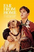 Far from Home: The Adventures of Yellow Dog (1995) - Posters — The ...