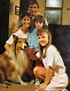 The New Lassie - Alchetron, The Free Social Encyclopedia