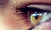 5 curiosidades sobre las pupilas - Supercurioso.com