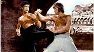 Bruce Lee VS Chuck Norris - Who Win? - YouTube