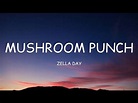 Zella Day - Mushroom Punch (Lyrics)🎵 - YouTube