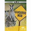 Nature: Kangaroo Mob (DVD) - Walmart.com - Walmart.com
