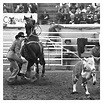 Roy Cooper, Tie-Down Roping • Inducted 1979 | Rodeo life, Rodeo horses ...