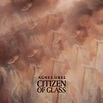 Citizen of Glass Digipack - Agnes Obel - CD album - Achat & prix | fnac