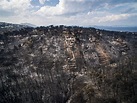 現場影片觸目驚心 希臘山火已致數百死傷 | 死亡 | 雅典 | 野火 | 大紀元