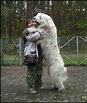 Les 20 plus gros chiens de la planète | fénoweb