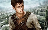 The Maze Runner - Dylan O'Brien Wallpaper (38590036) - Fanpop