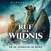 Filmkritik: Ruf der Wildnis - Kinomeister