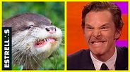 Benedict Cumberbatch realmente parece una nutria 😂 - YouTube