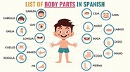 Body Parts in Spanish: Beginner & Advanced Words - Tell Me In Spanish