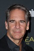 images of scott bakula | L'HOMME | Pinterest | Quantum leap, NCIS and ...