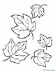 hojas de otoño para colorear- Web del maestro