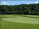Constructed Wetlands for Wastewater Treatment: A 20-year Success Story ...