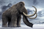 Mammoths and Mastodons - Ancient Extinct Elephants