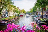 Städtereisen Amsterdam - günstig bei Travelscout buchen