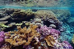 Discovering the Deep: Exploring Remote Pacific MPAs: Background ...