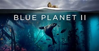 Blue Planet ?? ?? - The Blue Planet Wikipedia / David attenborough ...