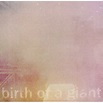 Birth of a giant - Bill Rieflin - CD album - Achat & prix | fnac
