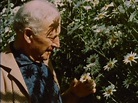 Chagall (1963) - Lauro Venturi [Extrait] - YouTube