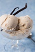 Vegan Vanilla Ice Cream - A Plantiful Path