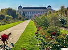 Le Jardin des Plantes et du Museum à Paris reste ouvert - Sortiraparis.com