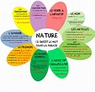 Natures et fonctions des mots - Affichage