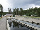 Photo: Leadville National Fish Hatchery