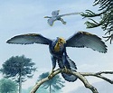 Archaeopteryx - missing link between birds and dinosaurs comes to ...